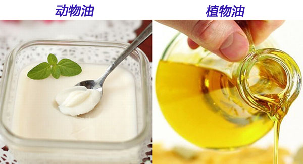 浸出油專家解析動植物油哪個(gè)更健康(圖1) 浸出油設(shè)備